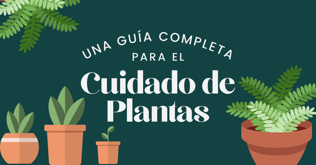Cuidado de Plantas