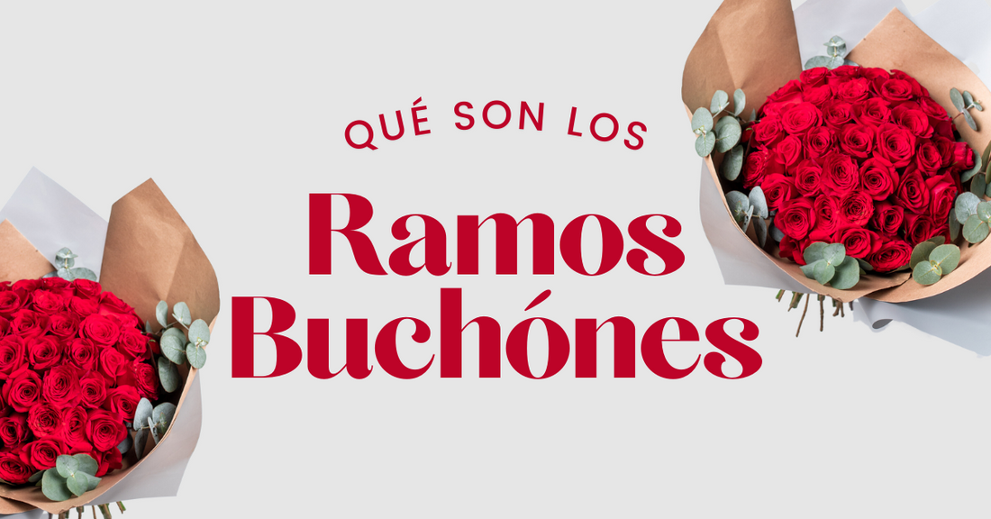 ¿Qué es un Ramo Buchón? | Verbena Flores