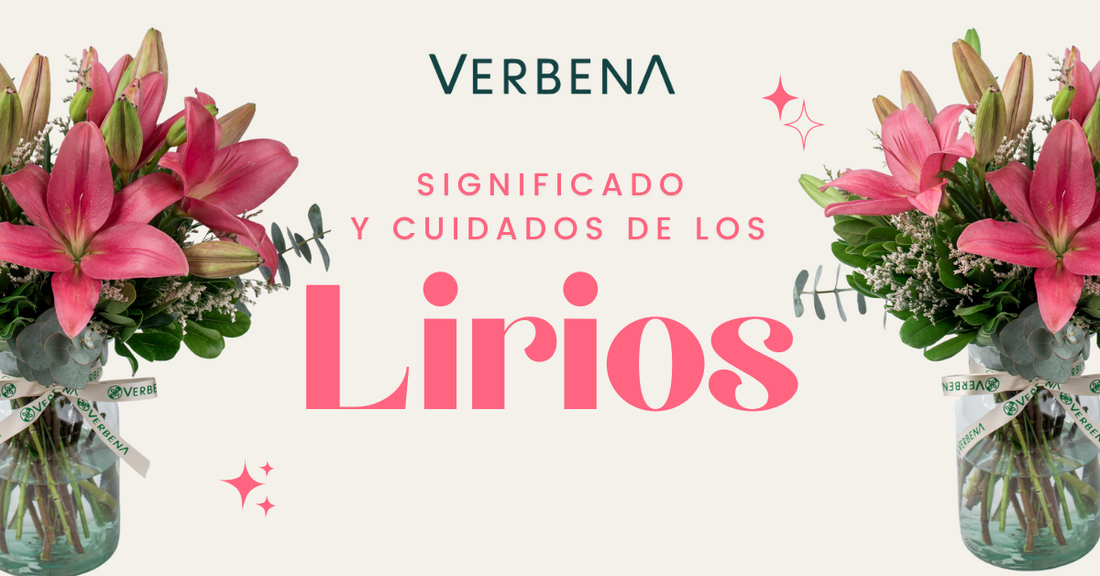 ¿Lirios, Lilis o Flor de Lis? Su Significado