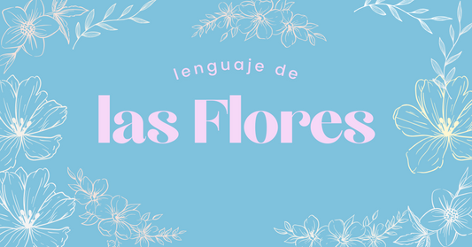 Lenguaje de las Flores Verbena Flores 2024
