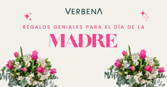 Regalos para el Día de las Madres Verbena Flores