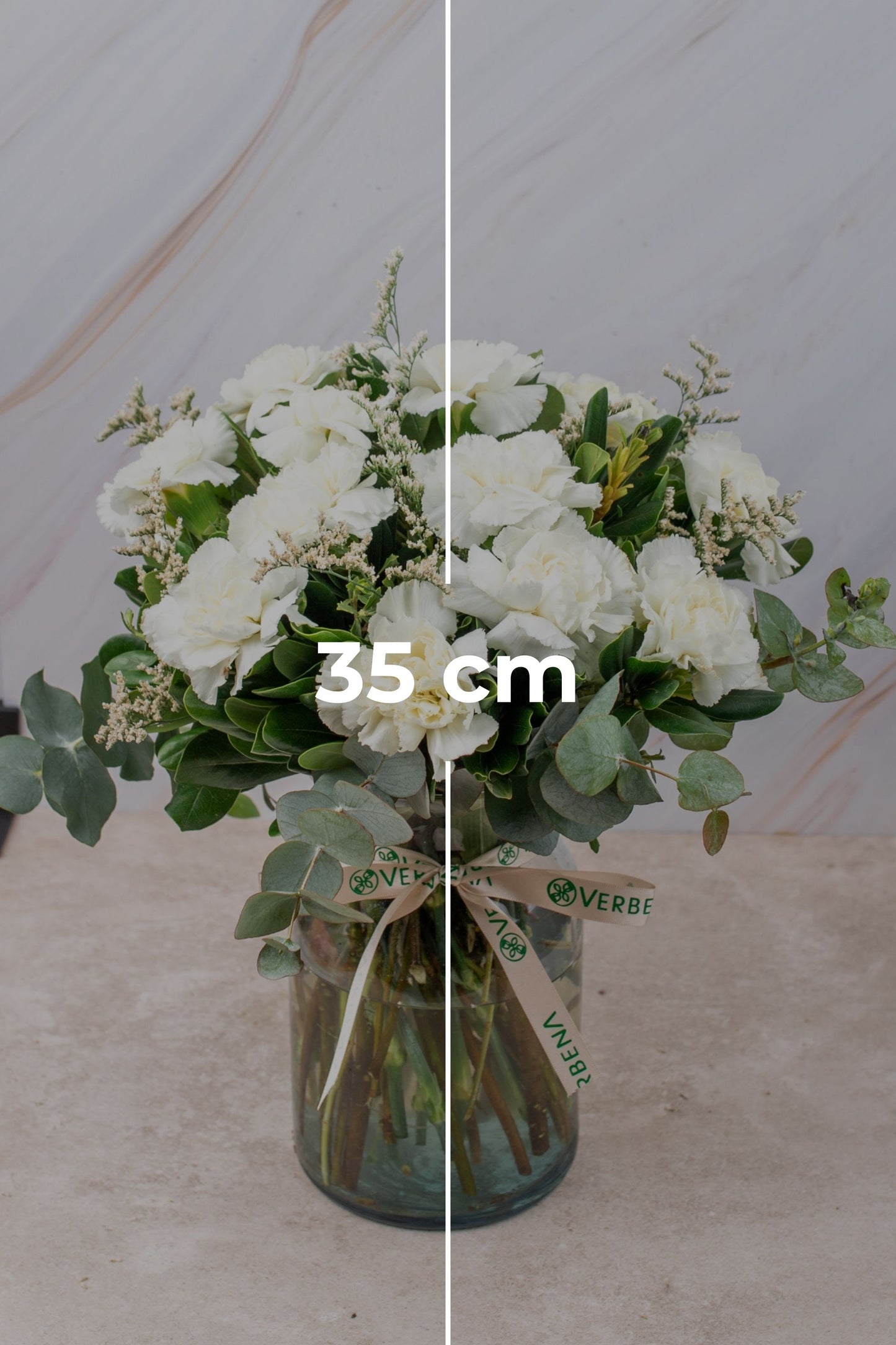 Rivera / Clavel Blanco SLP