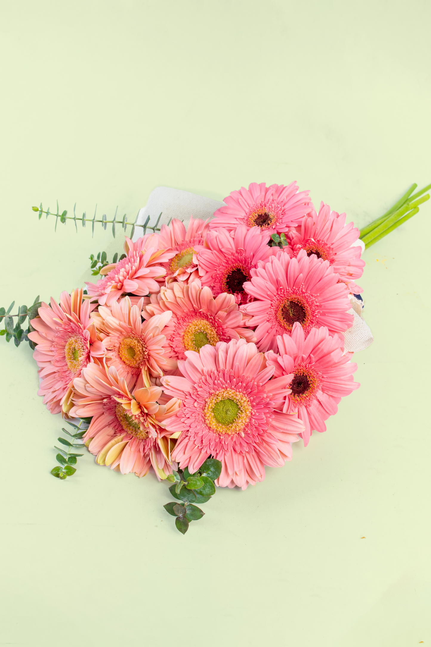 Ramo 12 Gerberas - Envoltura Yute