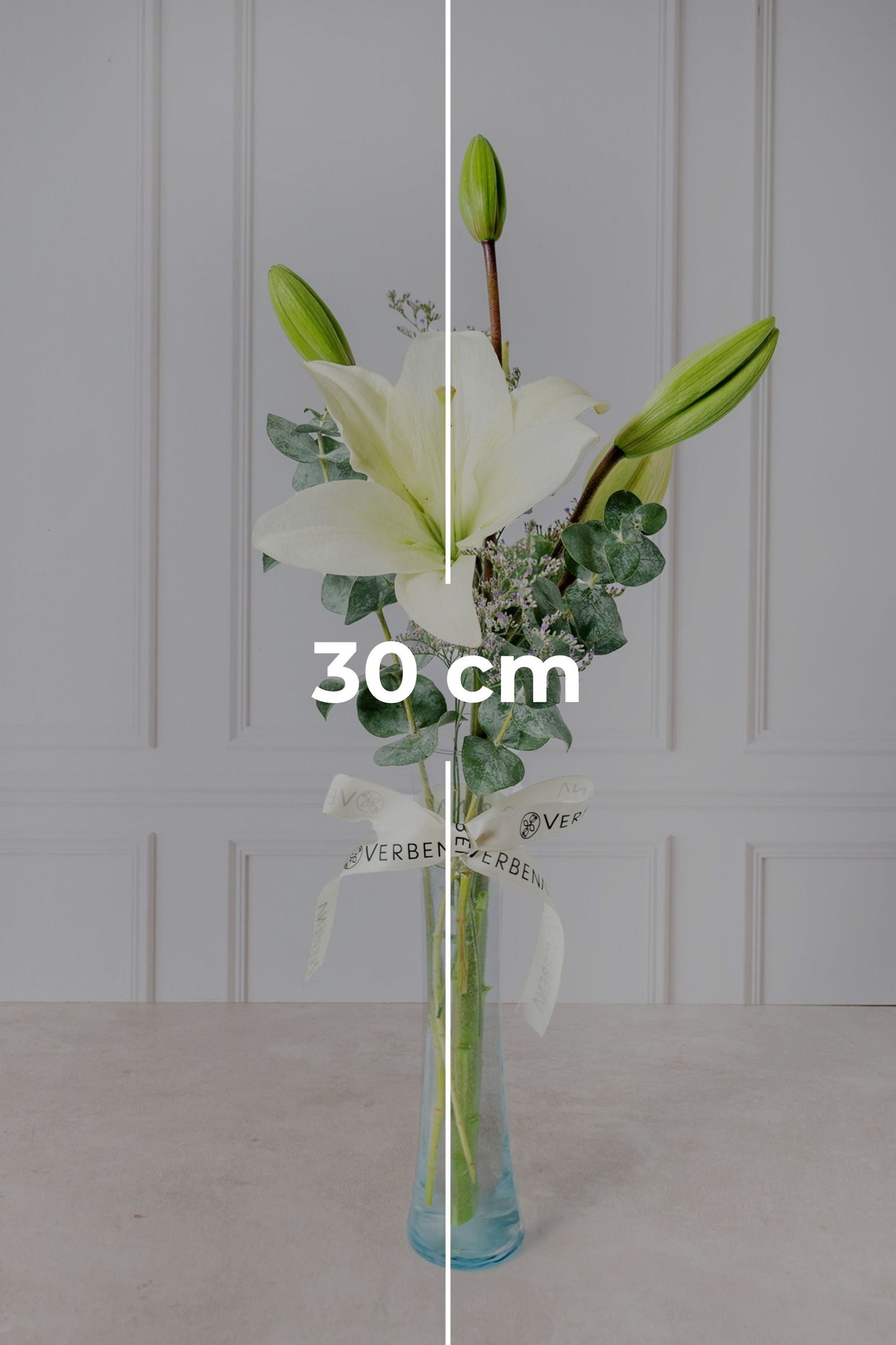 Algodoncito - 1 Lilium Blanco en Violetero PTO. ESCOND.