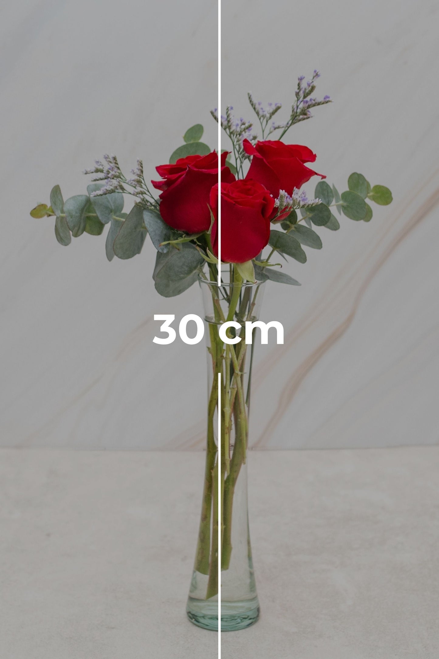 Bella Flores - 3 Rosas Rojas OAX CENTRO