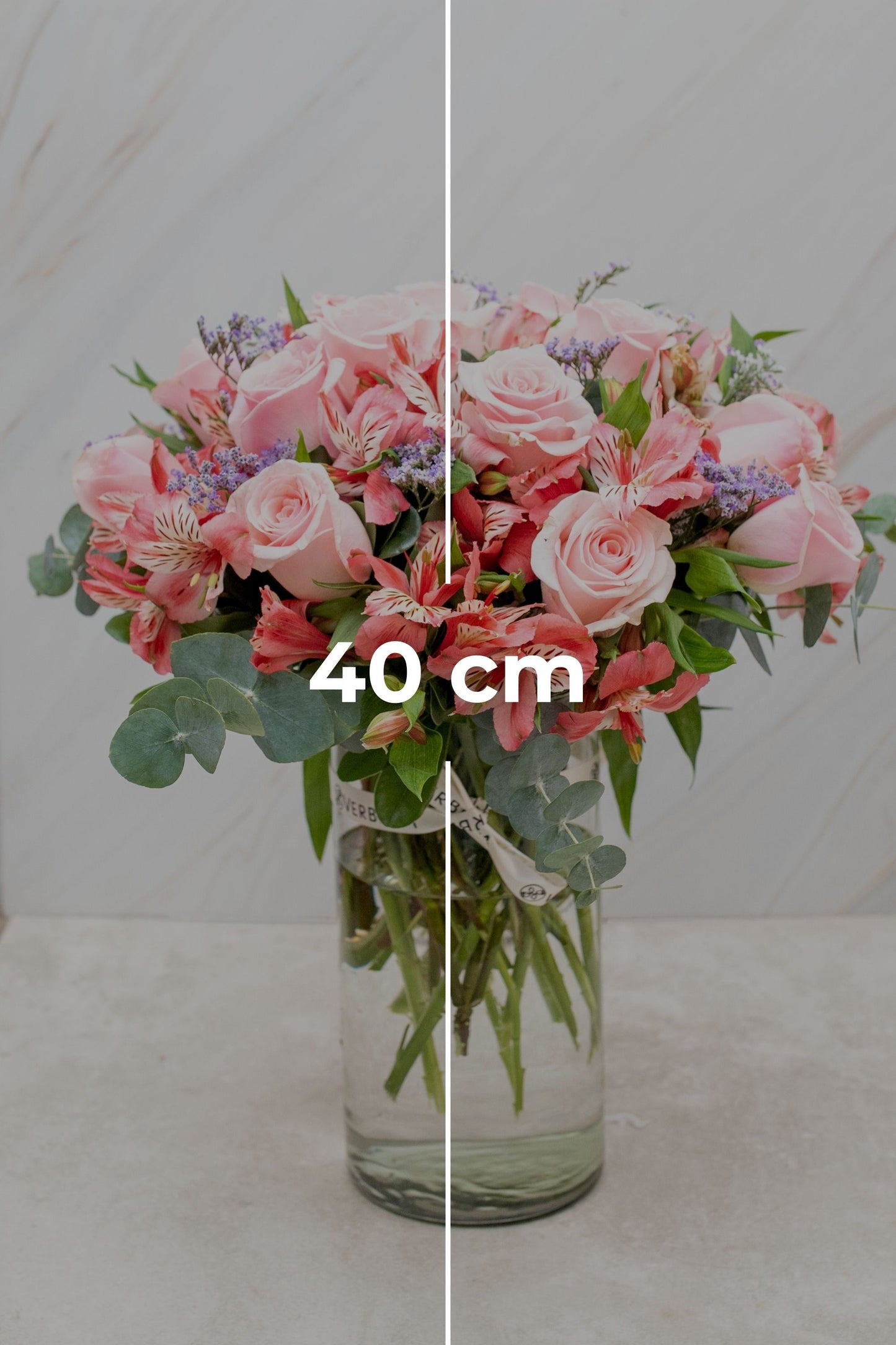 Cupido / Rosa Clarita y Astromelia G SLP
