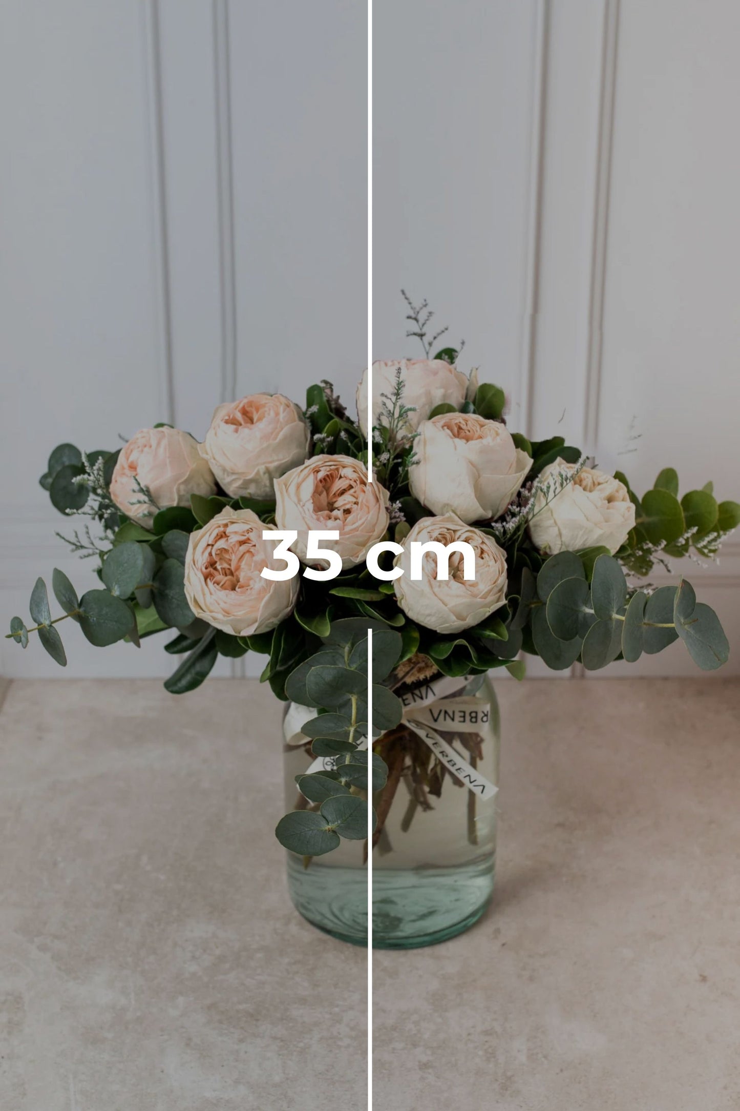 Limonada Rosa SV - Peonia Eterna Rosa