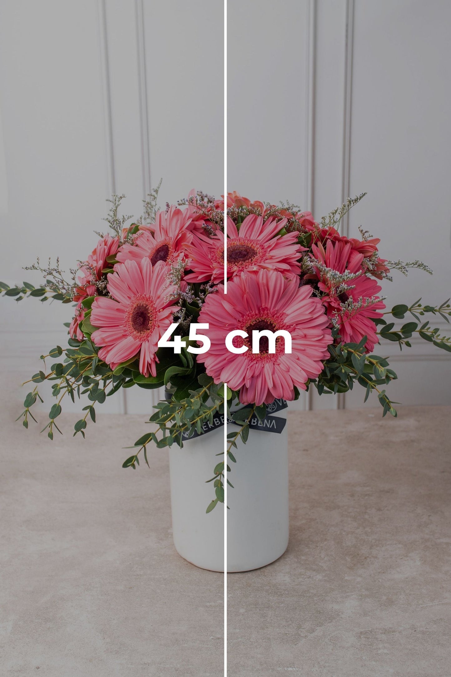 Dulce Primavera - Gerbera Rosa - MXL