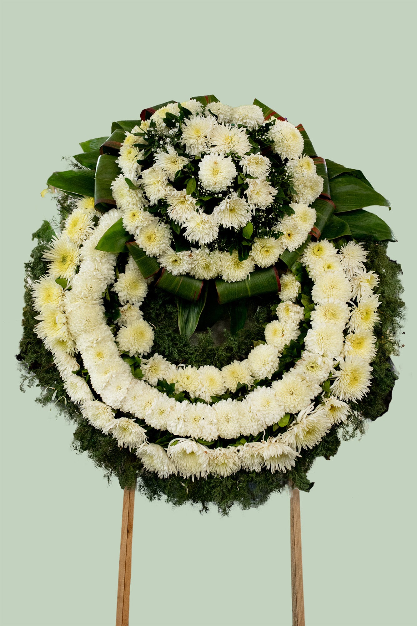 Corona Paz