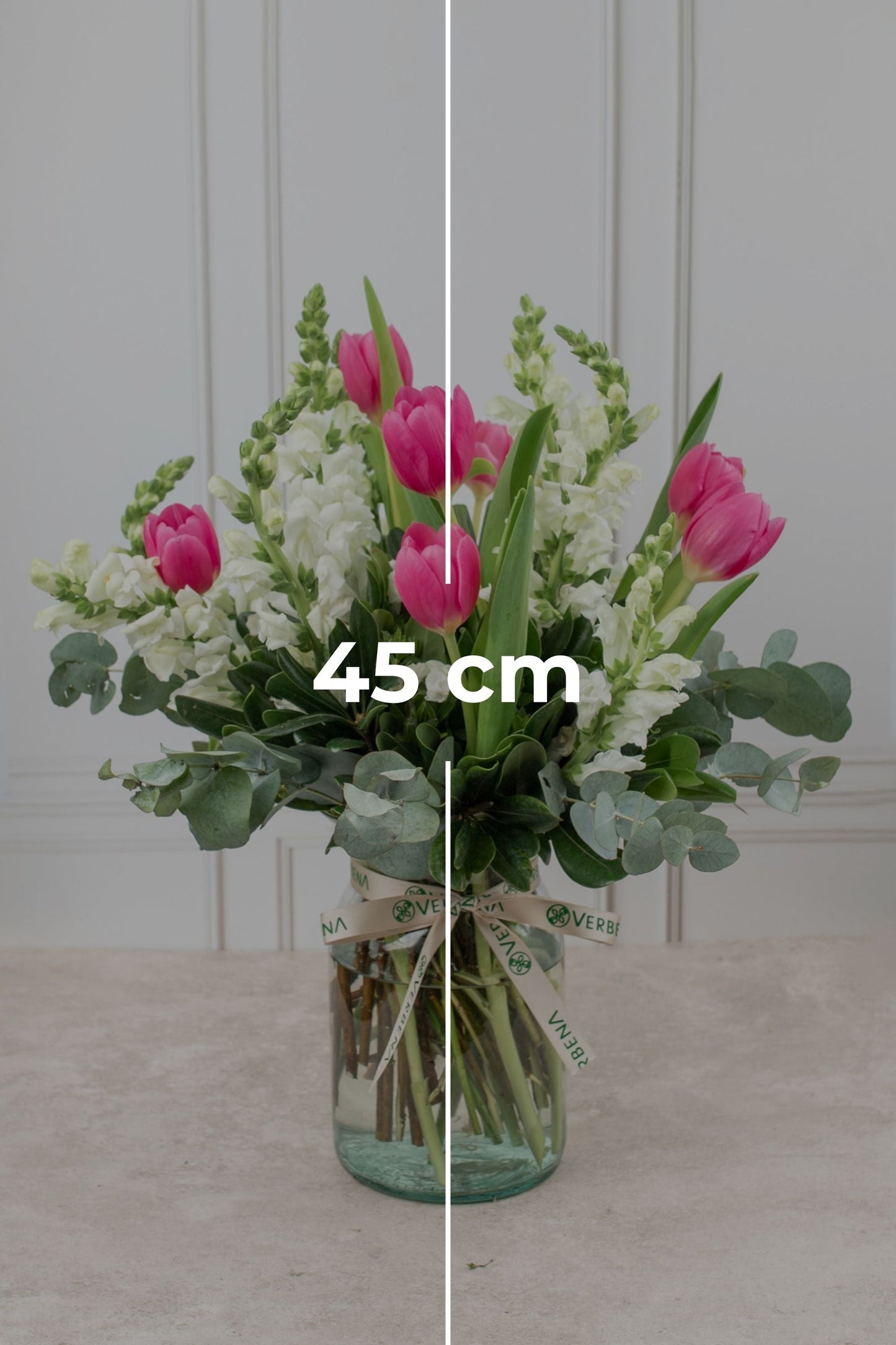 Aires de Holanda / Tulipán y Perrito Blanco QRO