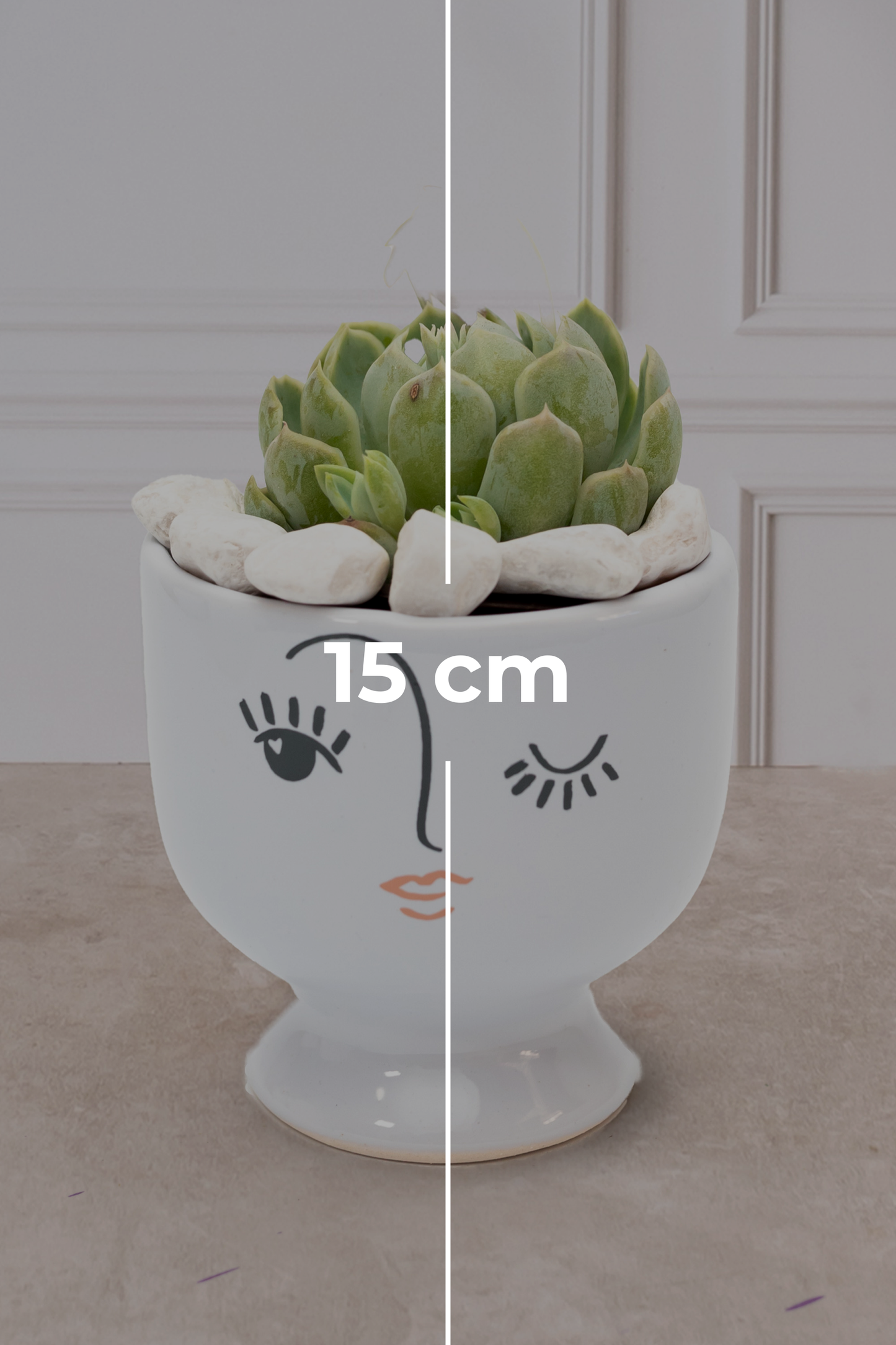 Succulent - Winking Face Cup