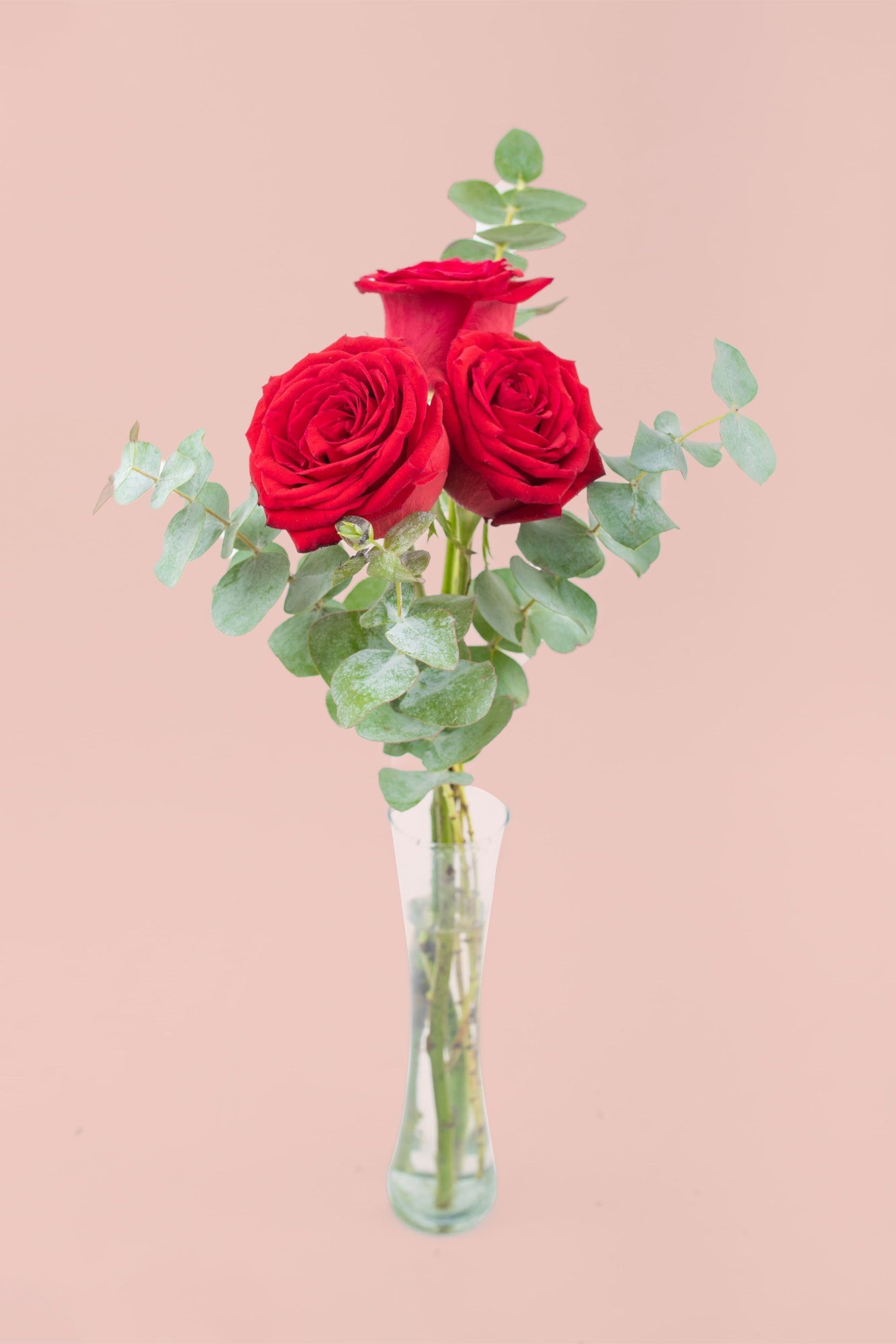 Bella SV / Tres Rosas