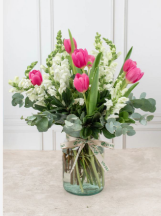 Aires de Holanda Especial + 5 tulipanes extra.