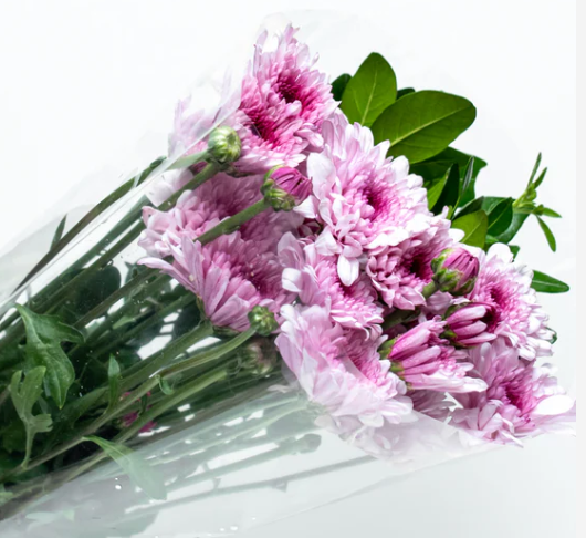 Pedido especial: 1 paquete de hortensia, 1 paquete de rosa amarilla, 1 paquete de craspedia, 1 paquete de eucalipto dolar