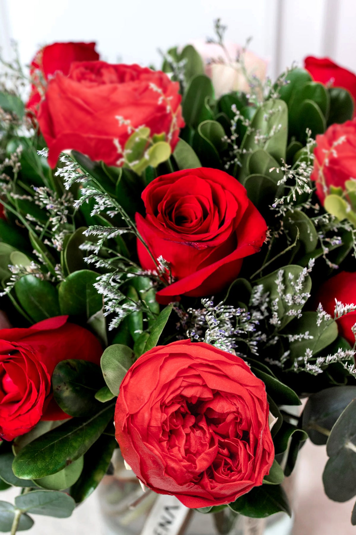 Chilli Pepper - Peony and Red Rose