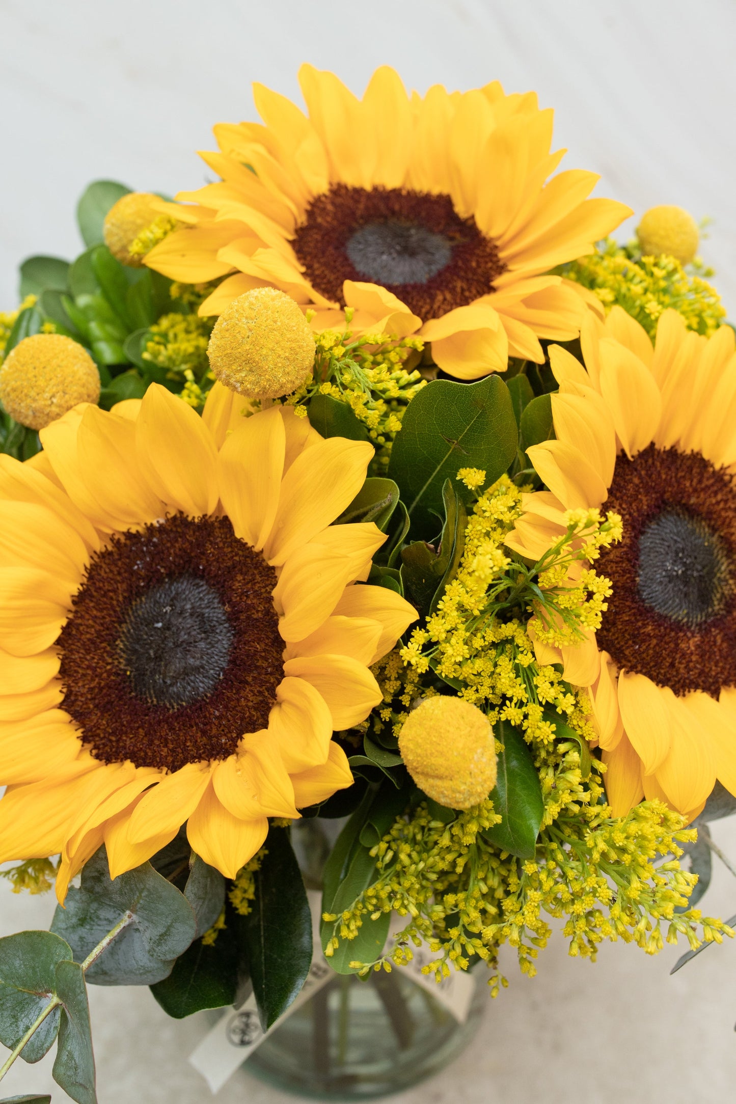 Eterna Primavera - Girasol y Craspedia CEL.