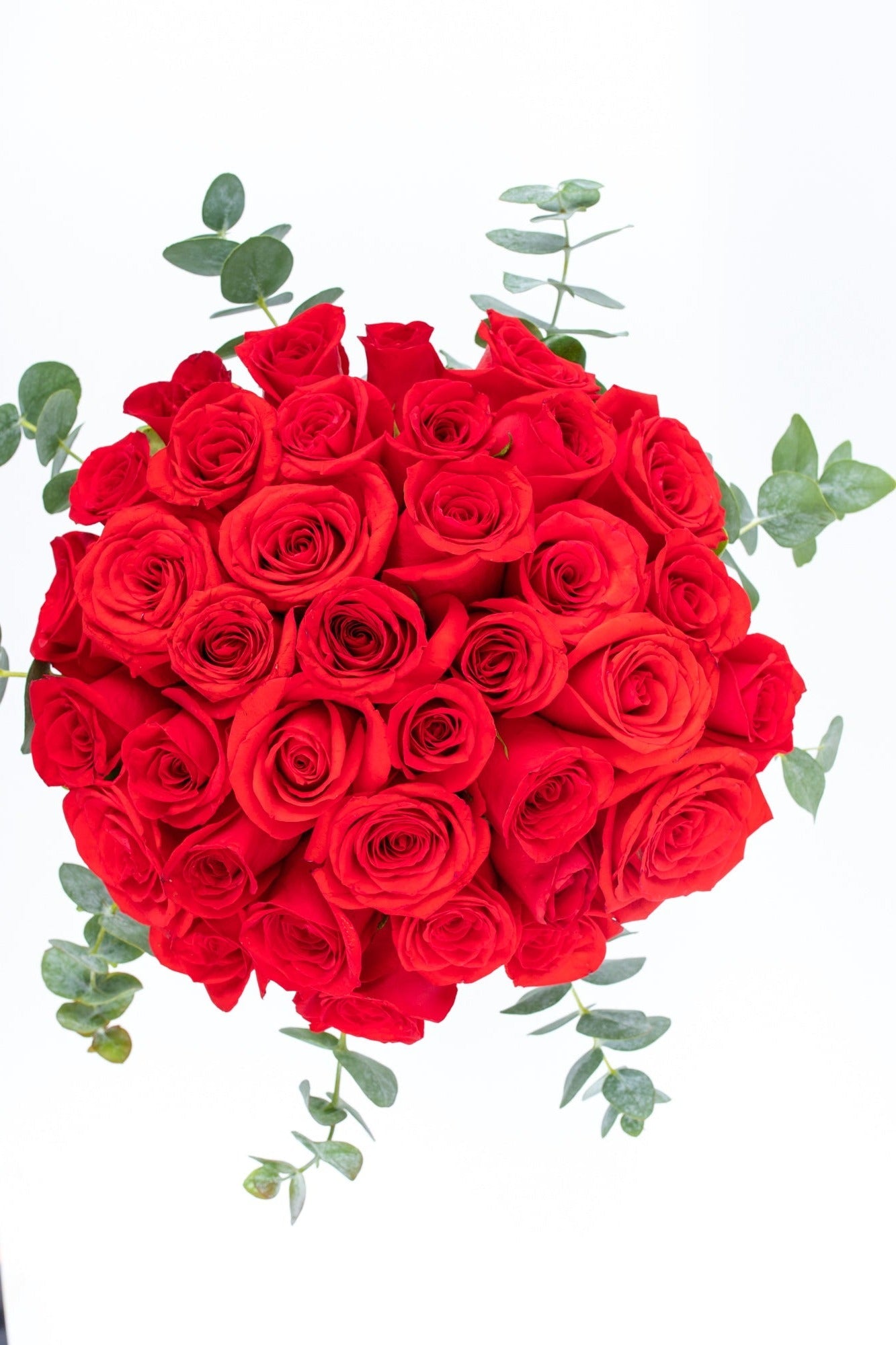 La Vida en Rosa // Rosas Rojas