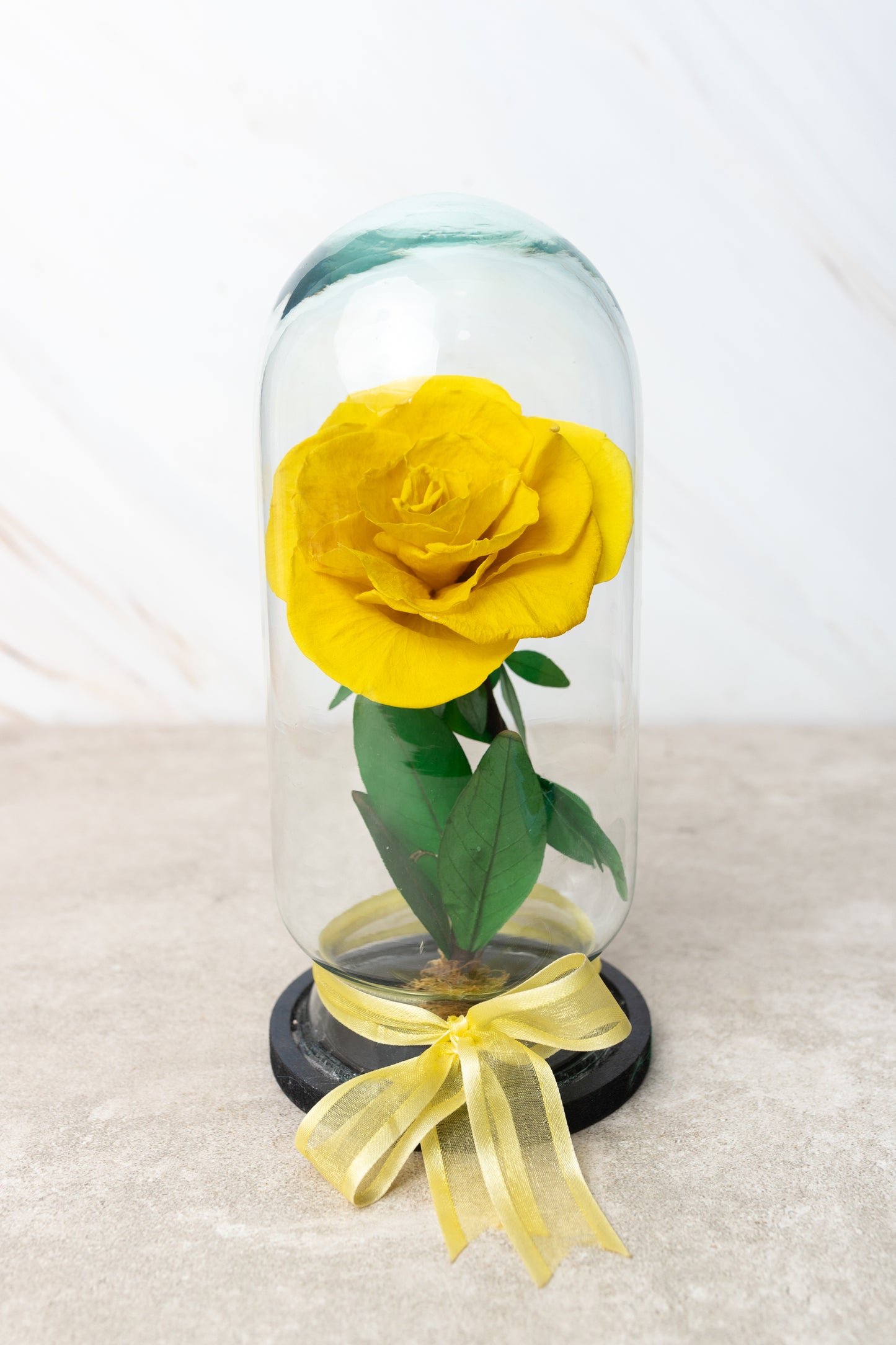 Yellow Rose - Eternal