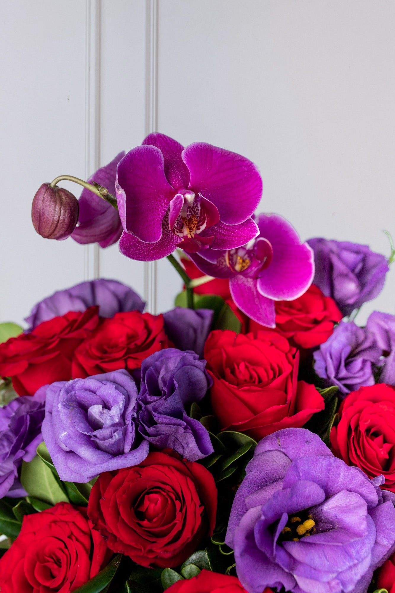 Mora Roja - Rosa Roja, Lisianthus Morado y Orquídea