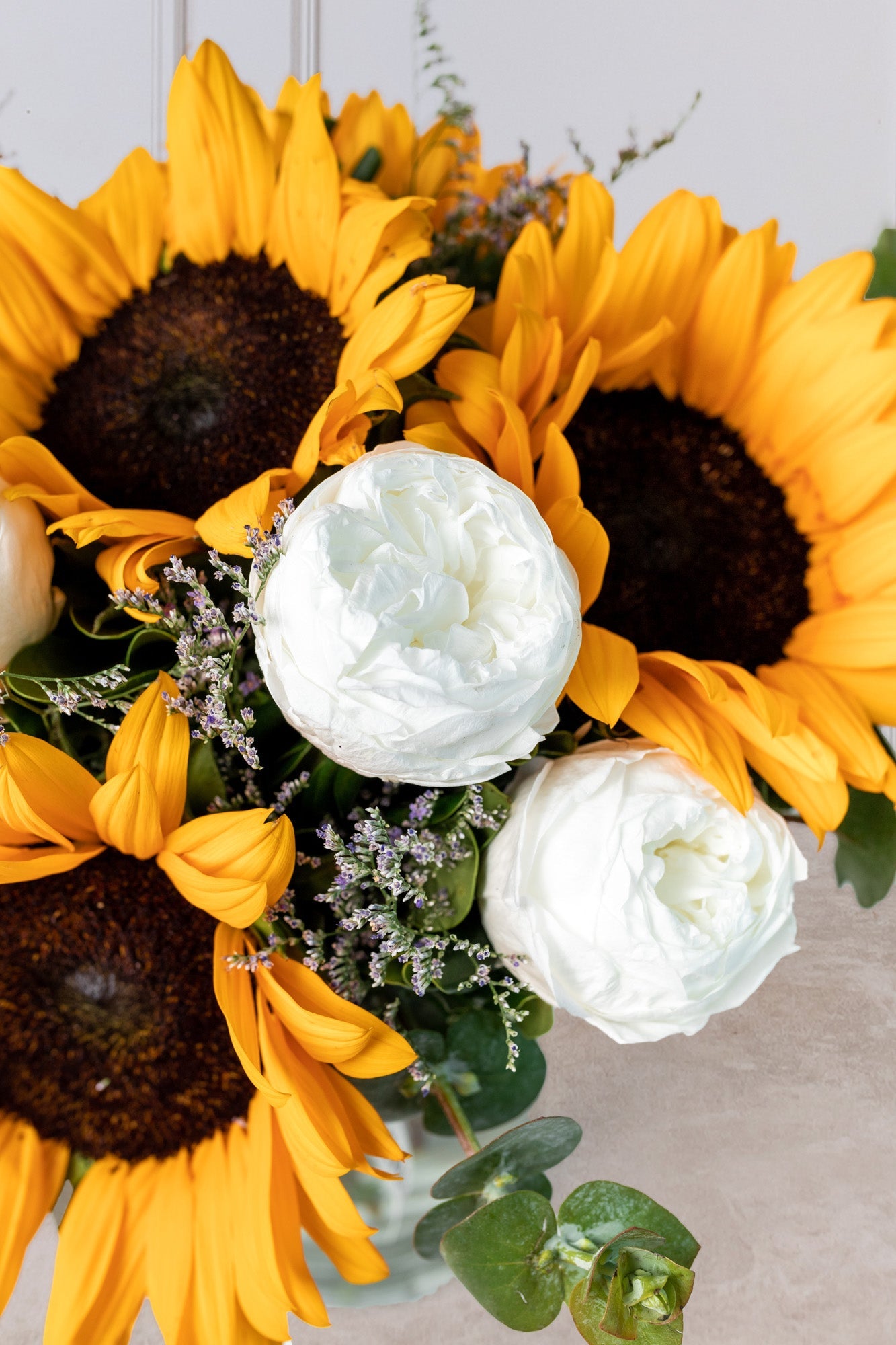 Serenata / Peonia Blanca y Girasol
