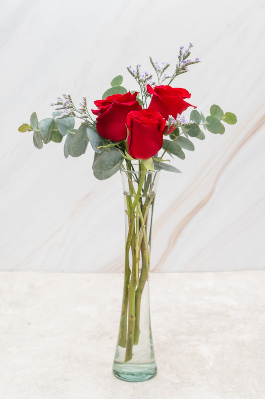 Bella // Tres Rosas PYC