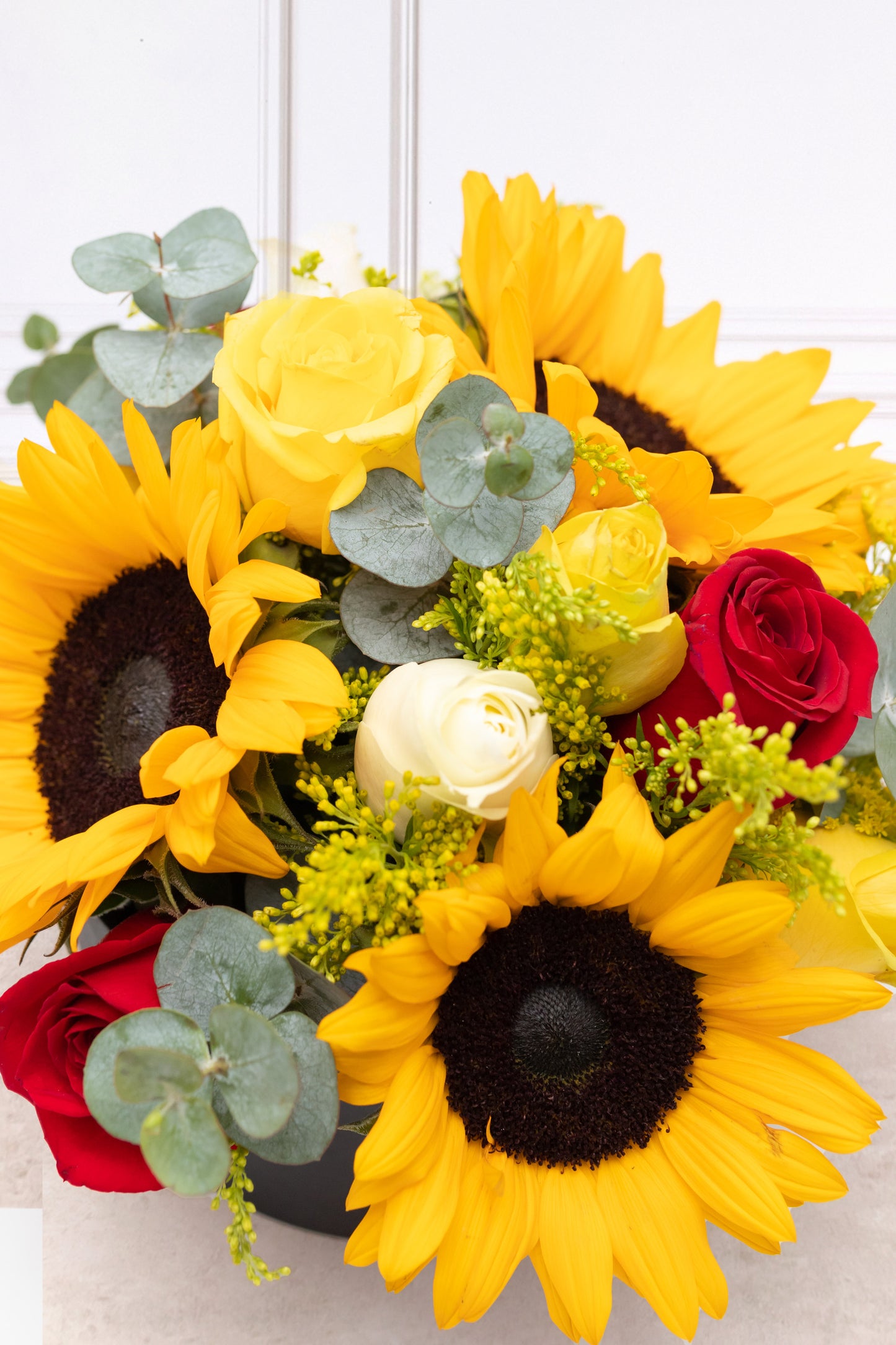 Ricitos de Oro - Girasol, Rosa Amarilla, Blanca y Roja