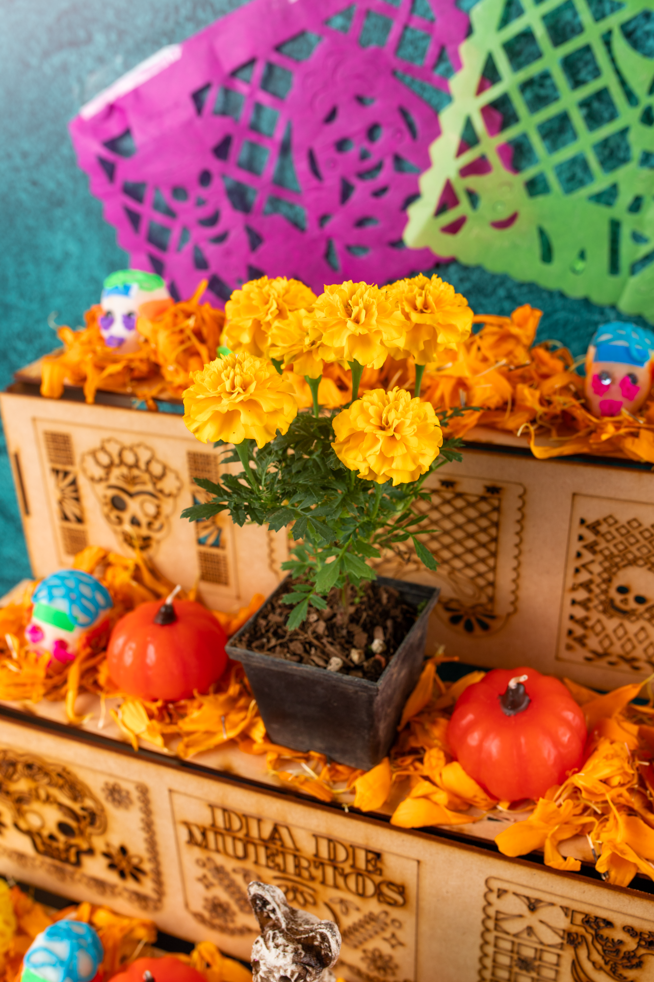 Camino al Mictlán - Kit Ofrenda