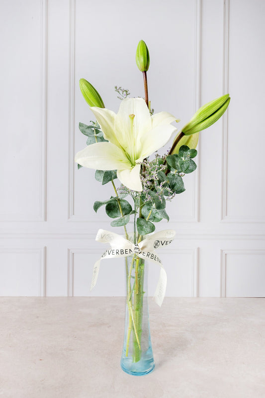 Cotton Candy - 1 White Lilium in ENS Violet Pot