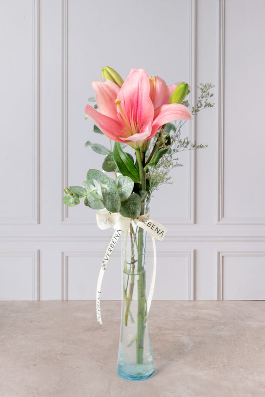 Sea Breeze - 1 Pink Lilium in Violet Pot SALT