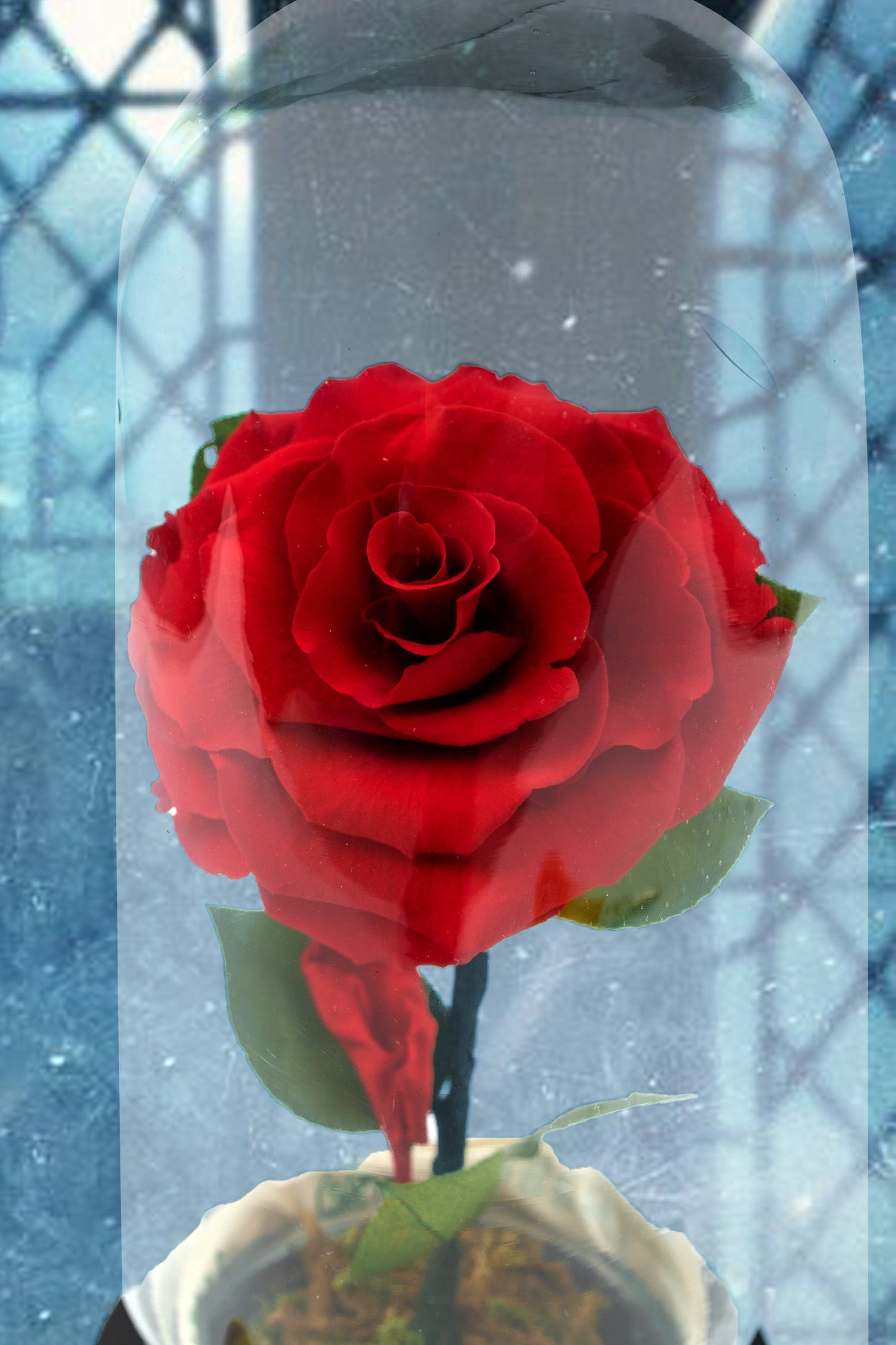 Rosa de la Bella y la Bestia - Rosa en Cristal.