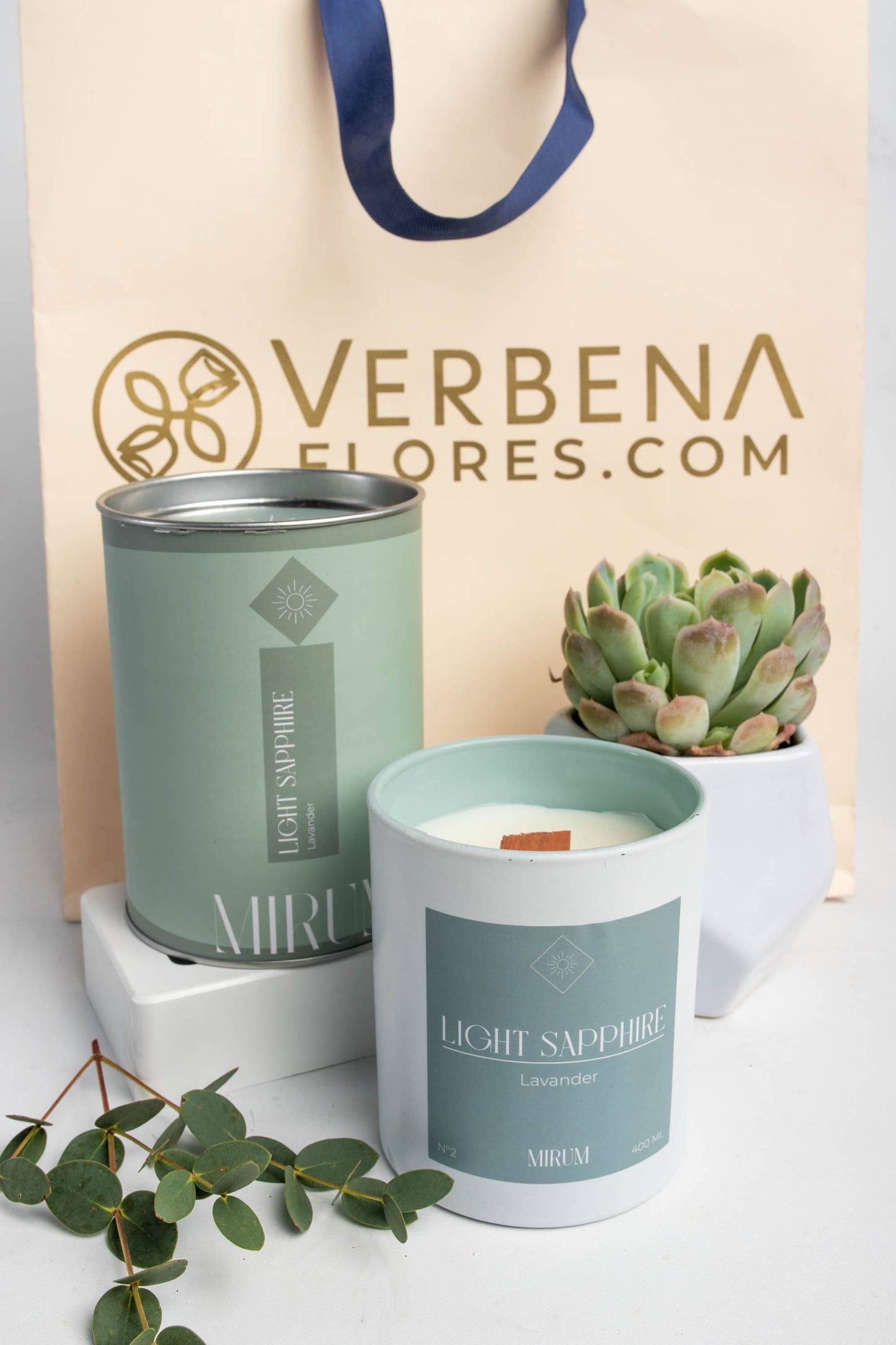 Mirium Light Sapphire Candle Kit - with Succulent
