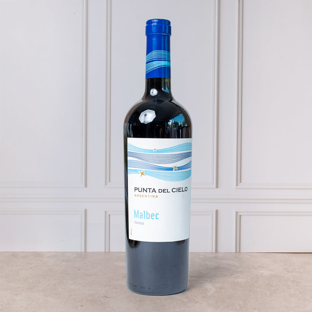 Vino Tinto - Punta Del Cielo Malbec