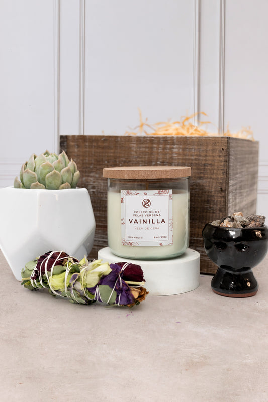 Incense - Aromatic and Succulent Candle