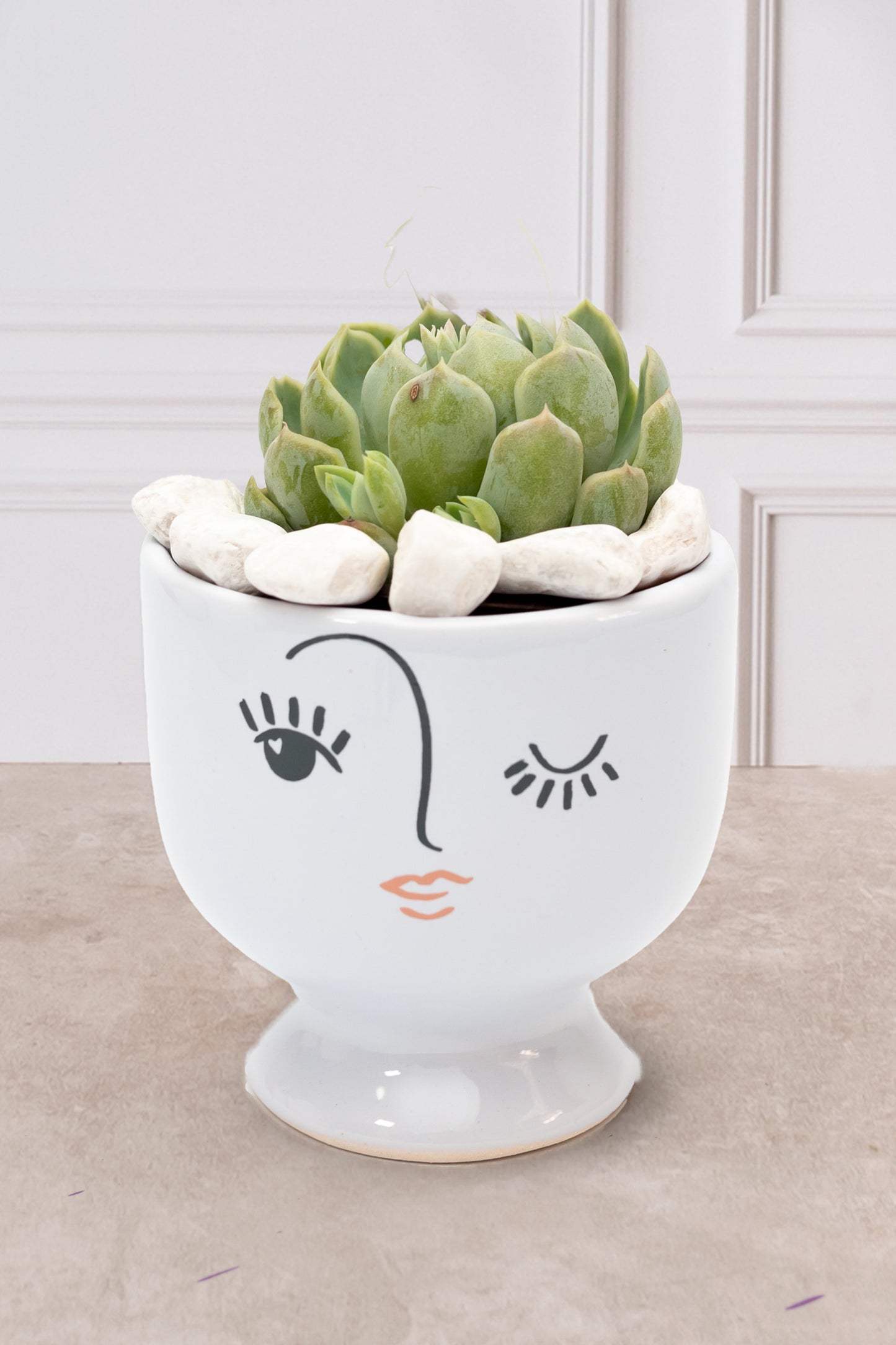 Succulent - Winking Face Cup