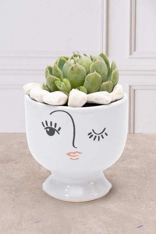 Succulent - Winking Face Cup