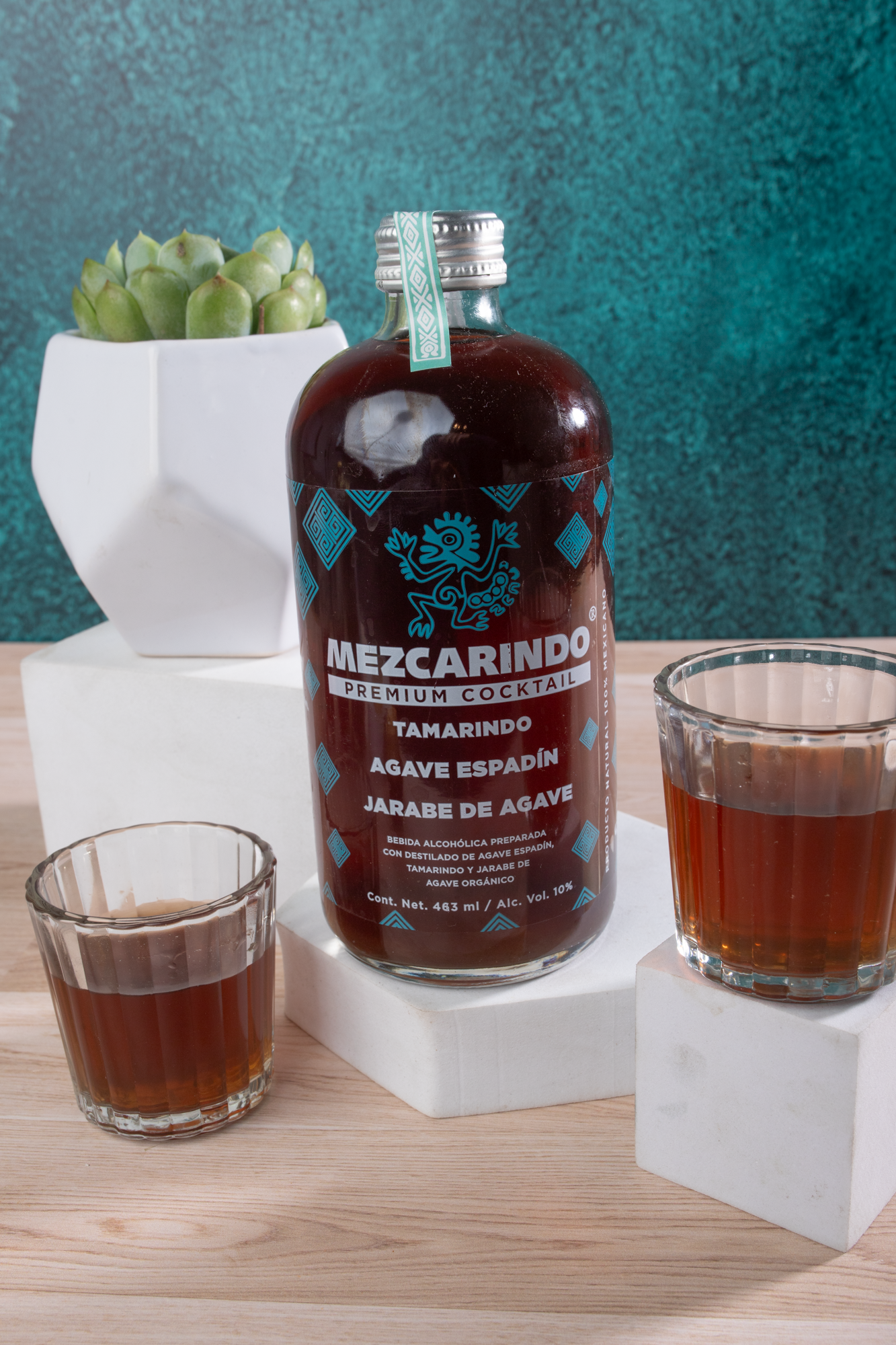 Kit Mezcarindo - Mezcal, Suculenta y Vasos