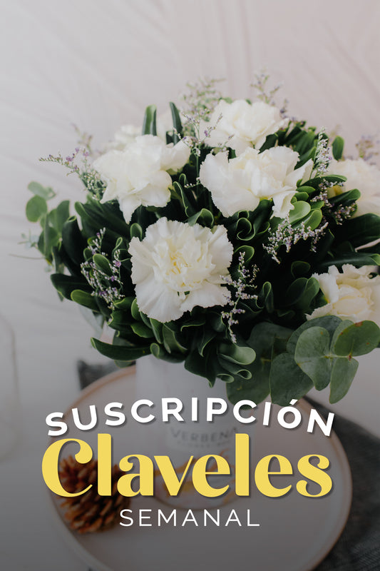 Suscripción Claveles Semanal