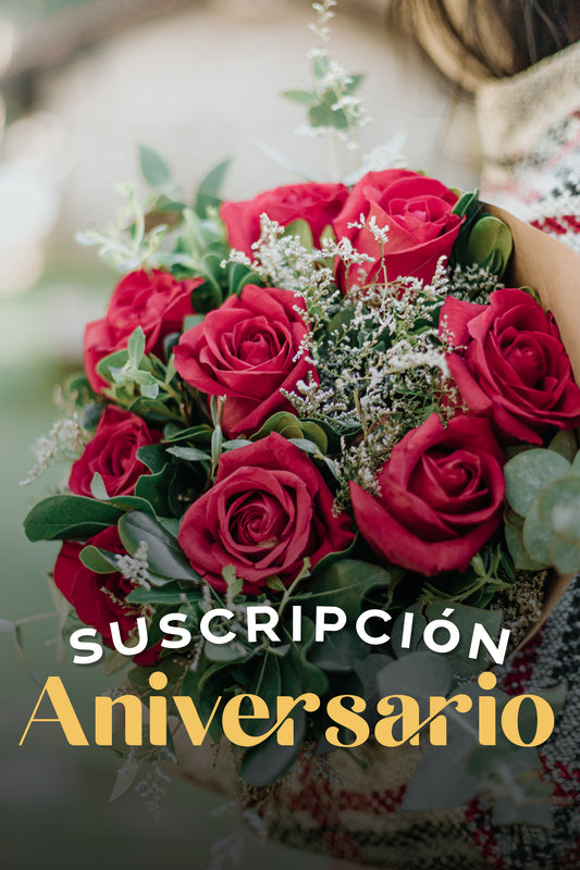 Suscripción Aniversario