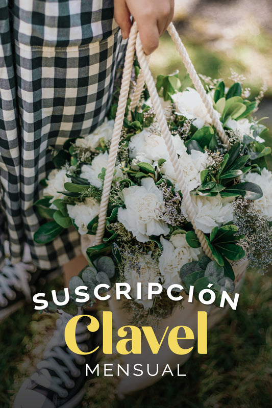 Suscripción Claveles Mensual