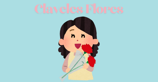 Claveles Flores