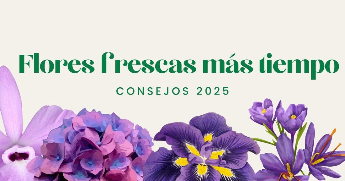 Flores frescas más tiempo: consejos 2025