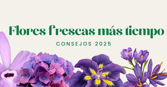 Flores frescas más tiempo: consejos 2025