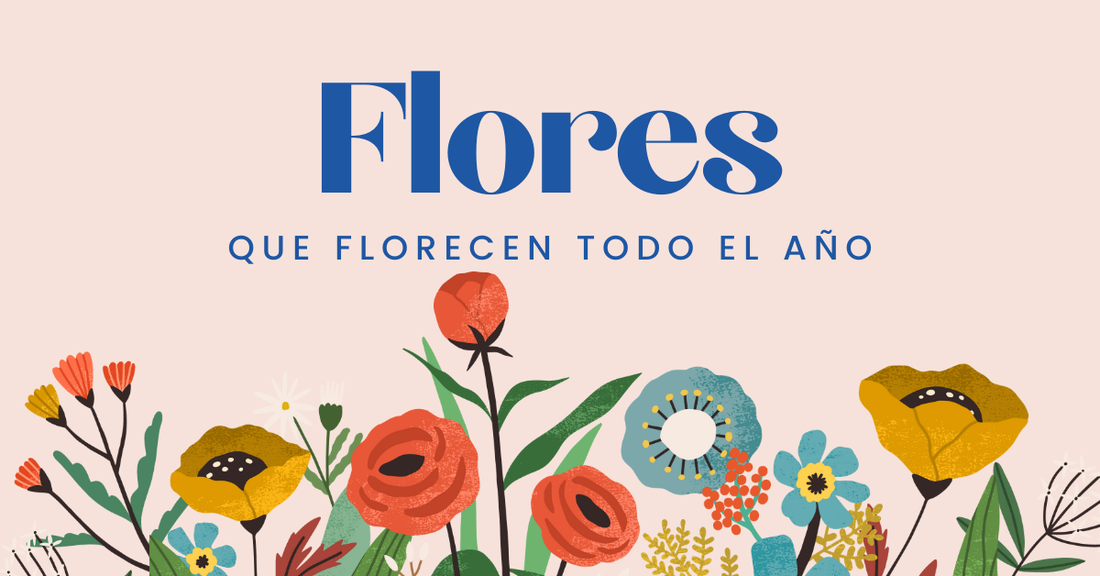 Flores que Florecen todo el Año