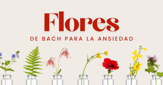Flores de Bach para la Ansiedad