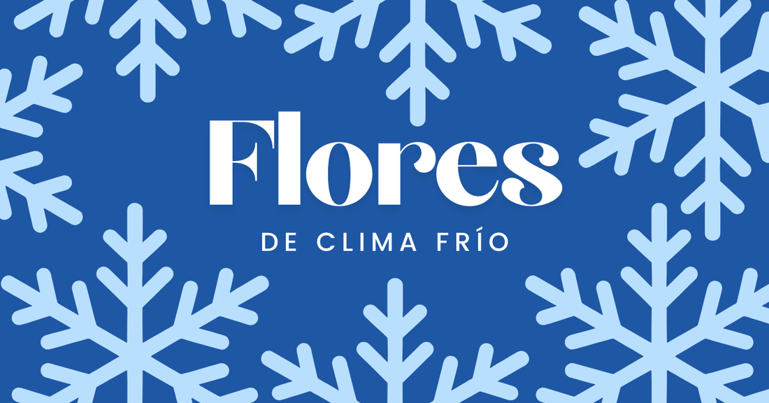 Flores de Clima Frio