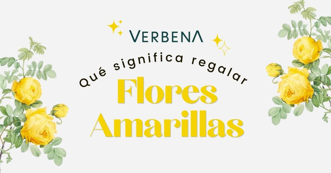¿Qué significa regalar flores amarillas?