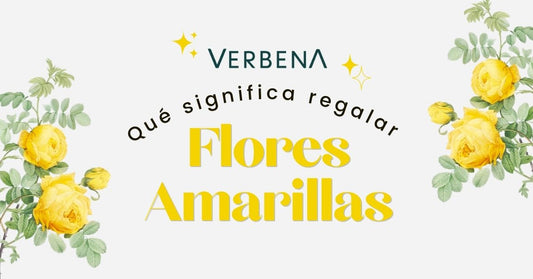 ¿Qué significa regalar flores amarillas?