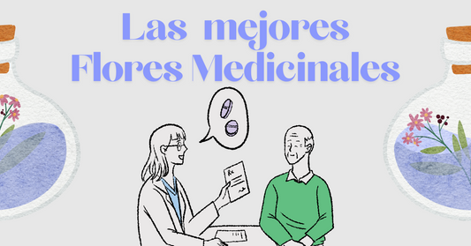 Las Mejores Flores Medicinales