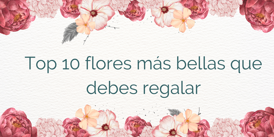Top 10 flores más bellas que debes regalar