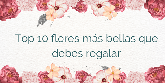 Top 10 flores más bellas que debes regalar